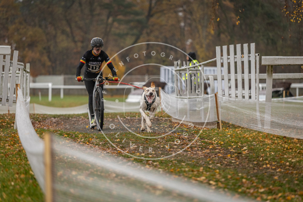 CaniXpix_DV3A7637 | Hundefotografie, Tierfotograf, Pfotenfotografie, Fotoshooting Hund, Hunde Portrait, Hundesport, Hundeportraits, Heideshooting, Hunde, Sportfotograf, Hundefotograf, Turnierhundsport, THS,  - Realisiert mit Pictrs.com