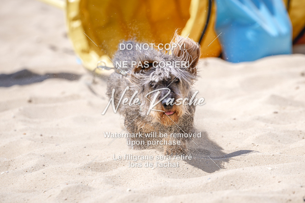 NR__2765 | nelerasche
