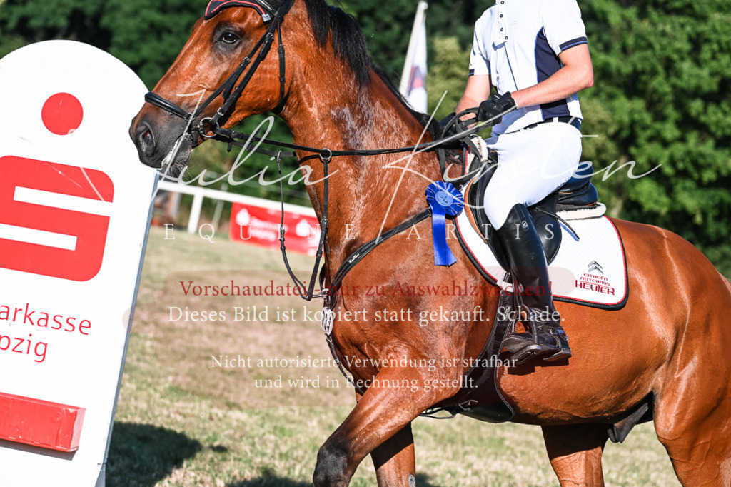 DSC_3200 | Pferde- und Turnierfotografie in Westsachsen. Pferdeportraits, Auftragszeichnungen und intuitive Kunst.