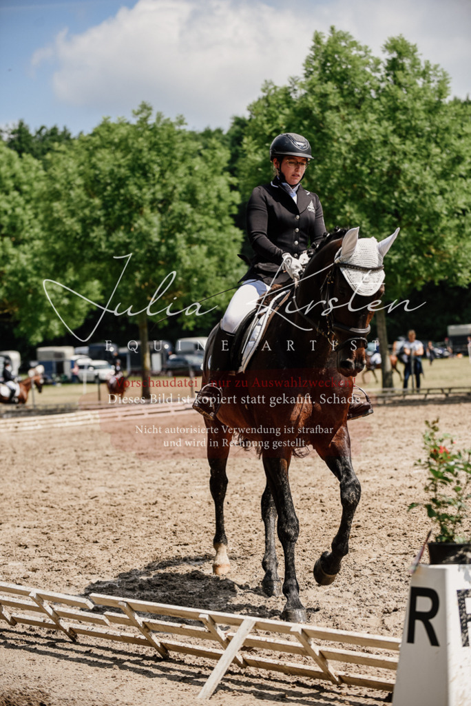 DSC_1074 | Pferde- und Turnierfotografie in Westsachsen. Pferdeportraits, Auftragszeichnungen und intuitive Kunst.