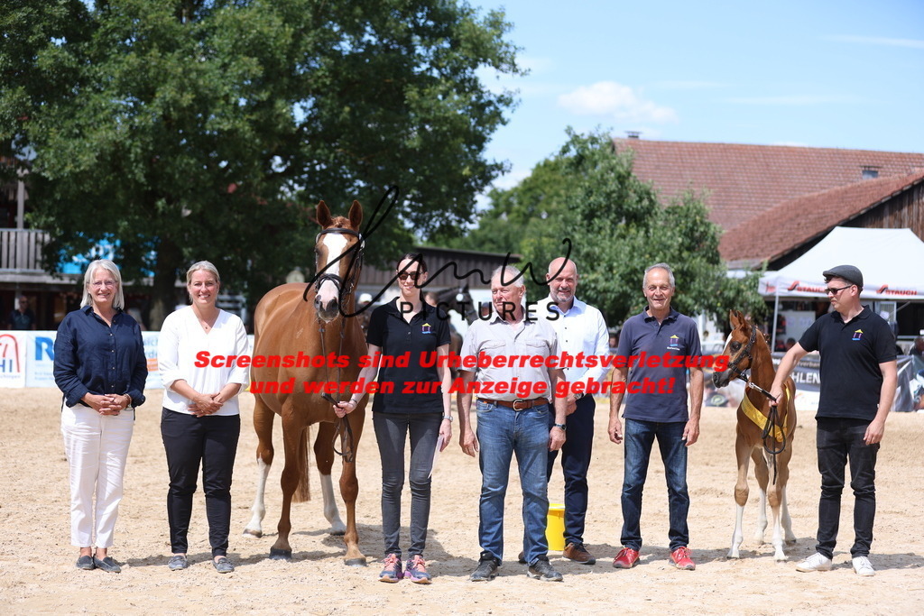 Fohlenschau_Schwäbisch_Hall_springbetonte_Fohlen_SIEGERFOHLEN_KN 22_10 | lmwpictures - Realisiert mit Pictrs.com