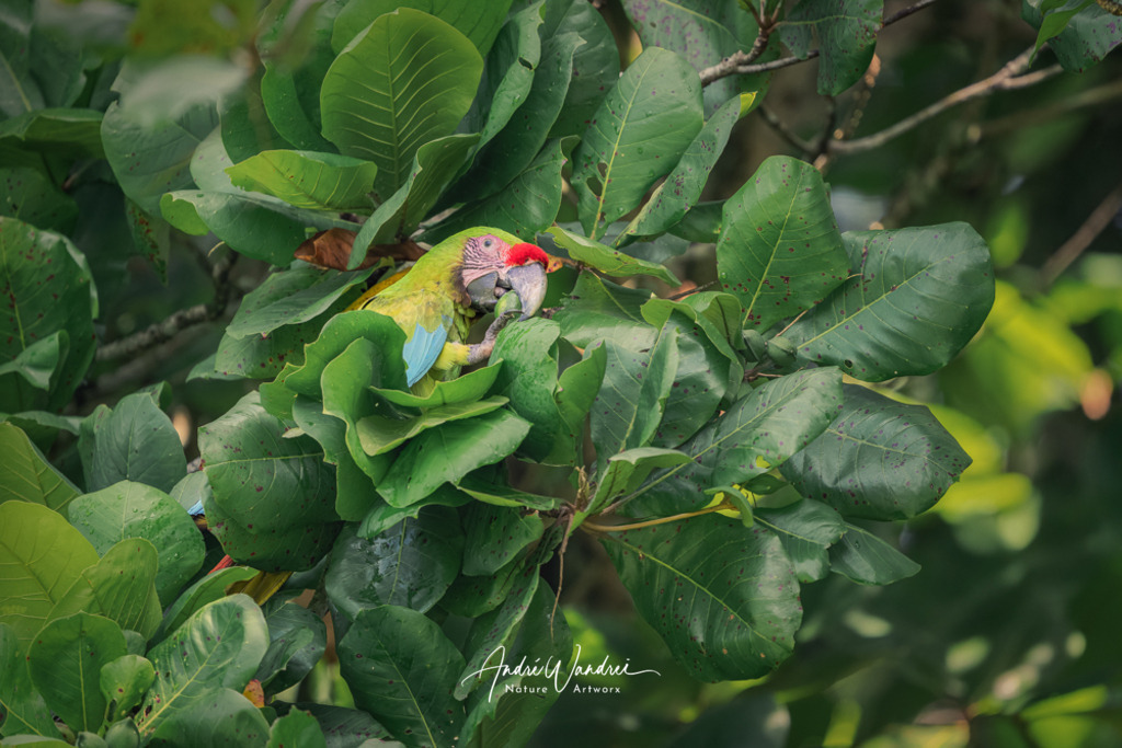 Gut getarnt | Andre Wandrei - Nature Artworx - Realisiert mit Pictrs.com