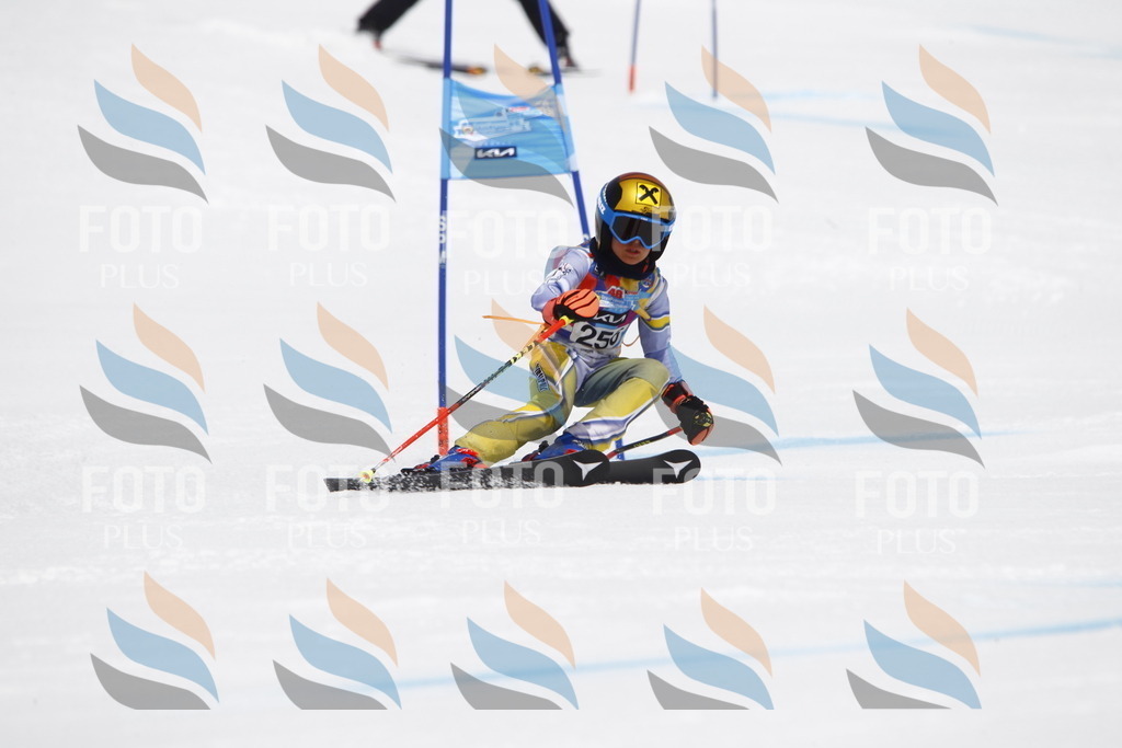 _U3G6431 | holidayphoto