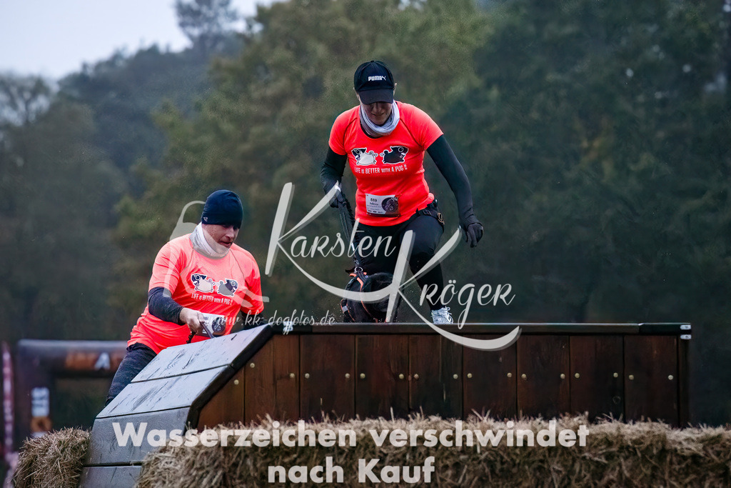 0803-_ZZ90036-Bearbeitet-Bearbeitet | kk-dogfotos