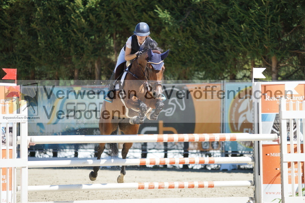 DSC02541 | equestrian-live-com