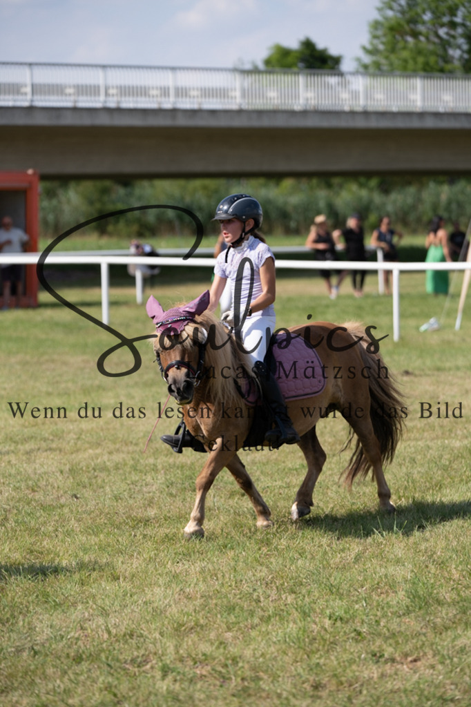 A7V00503 | Turnier/Reitfotograf