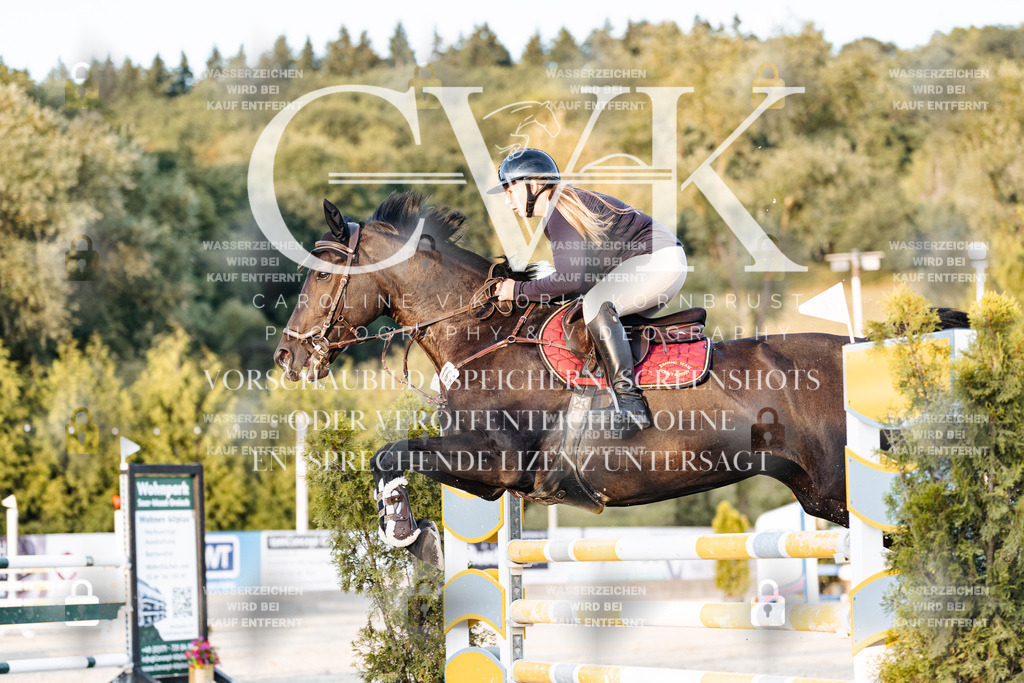 CK901062 | Turnierfotografie Pferdefotografie Trier Rheinland-Pfalz Pferdesport Reitsport Tierfotografie Sportfotografie Pferdevideo Pferdevideografie Equestrianvideography equestrianphotography  - Realisiert mit Pictrs.com