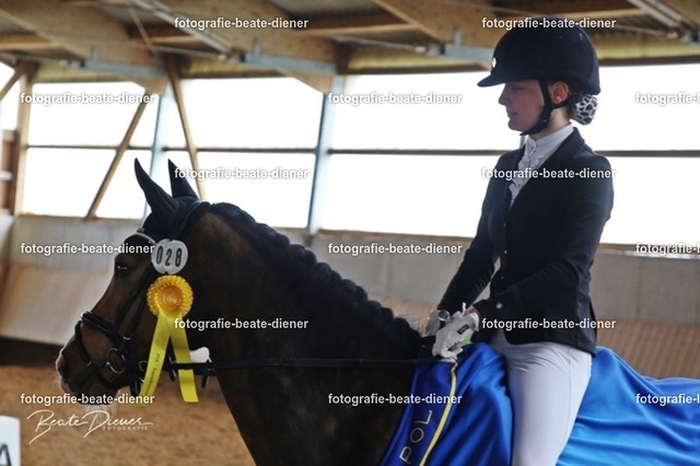 JugendTrophy0531 | Fotografie, Tiere, Hunde, Katzen, Pferde, Sportfotografie, Fotosession, Tierfotografie, Turnierfotografie, Fotografin, Fotograf - Realisiert mit Pictrs.com