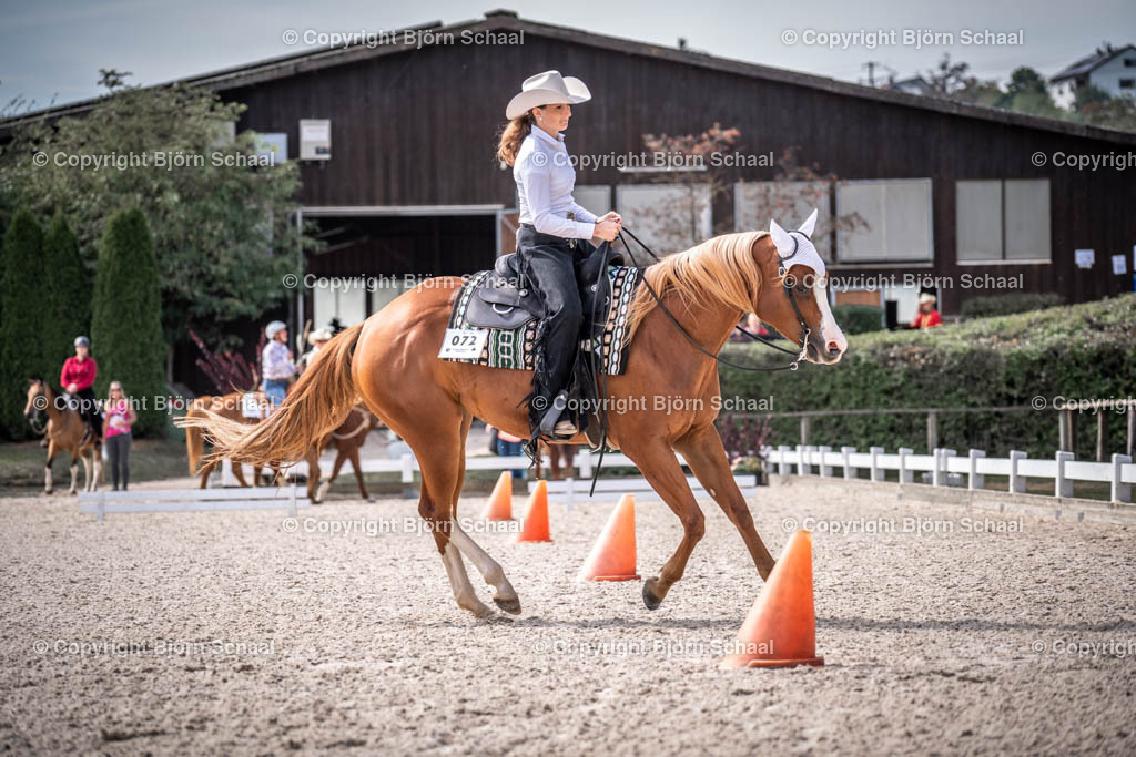 KBB09913 | BS-foto