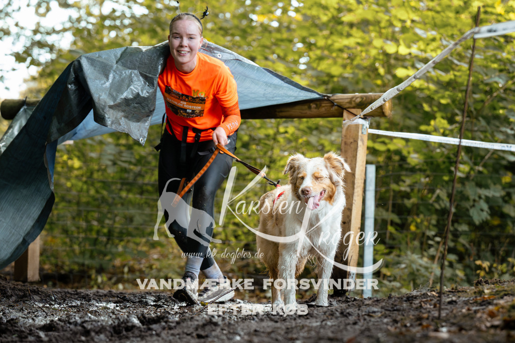 1415DZ6_1374Z6 | kk-dogfotos