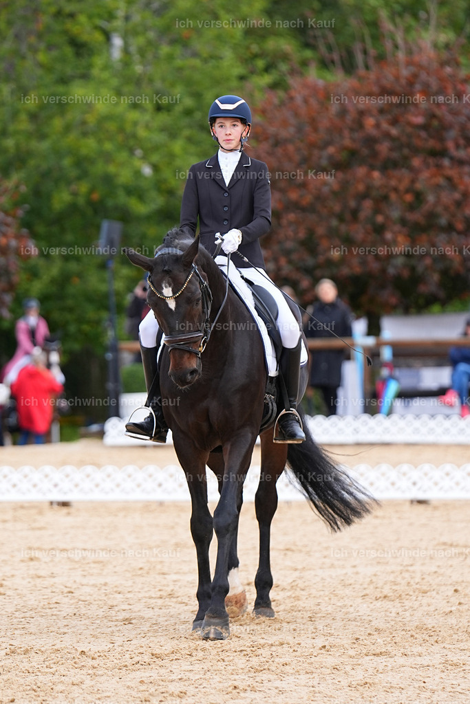 02-236-DRESSUR L_  -Marixx-4826 | working equitationturnier fotograf videograf stoibphotography marixx film working equitation deutschland reitsport turnierfotografie eventfotografie equestrian events