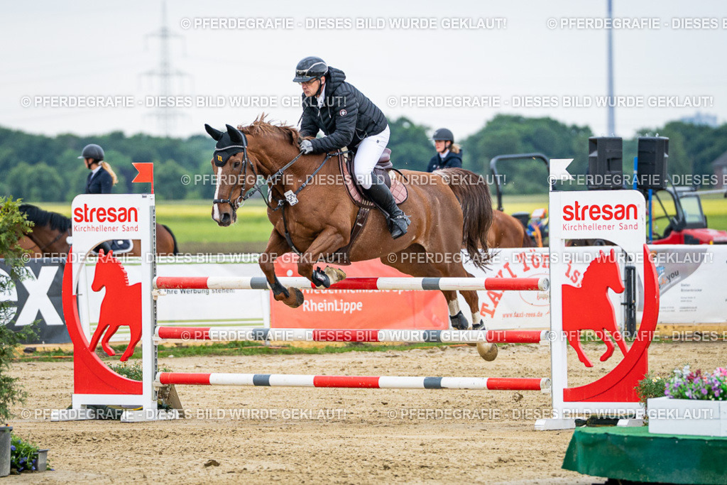 DSC05856 | Pferdegrafie