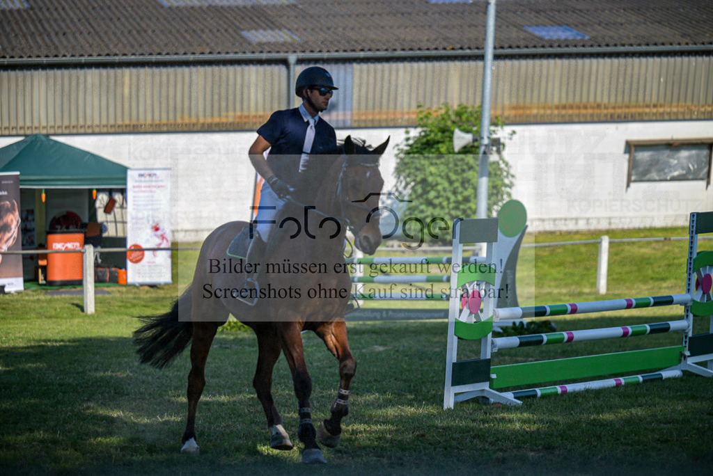 Reitturnier Voxtrup | Entdecke hochwertige Reitturnierfotos von Foto Oger. Professionell, emotional und authentisch – jetzt Lieblingsmomente im Shop bestellen.Deutschlandweite Turnierfotografie. - Realisiert mit Pictrs.com