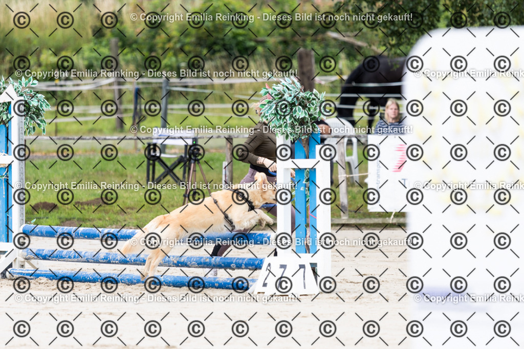 CL5A0642 | Emilia Reinking Fotografie - Realisiert mit Pictrs.com