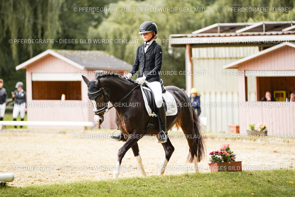 DSC00096 | Pferdegrafie