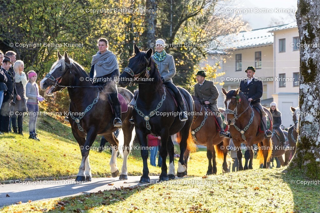 LL24-180 | foto-bettina-krinner - Realisiert mit Pictrs.com