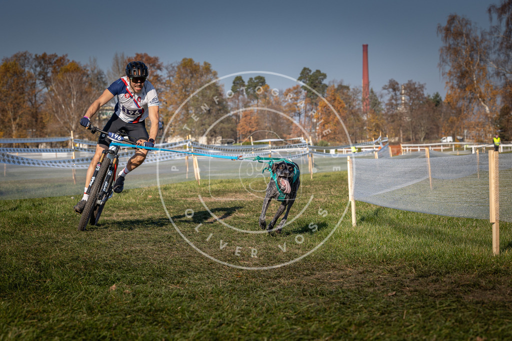 CaniXpix_0L8A6235 | Hundefotografie, Tierfotograf, Pfotenfotografie, Fotoshooting Hund, Hunde Portrait, Hundesport, Hundeportraits, Heideshooting, Hunde, Sportfotograf, Hundefotograf, Turnierhundsport, THS,  - Realisiert mit Pictrs.com