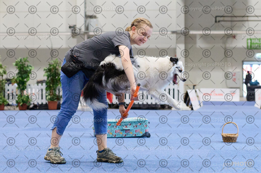 202406_ÖKV-IHA-Tulln24_DSC_4512 | proPHOTO - Realisiert mit Pictrs.com