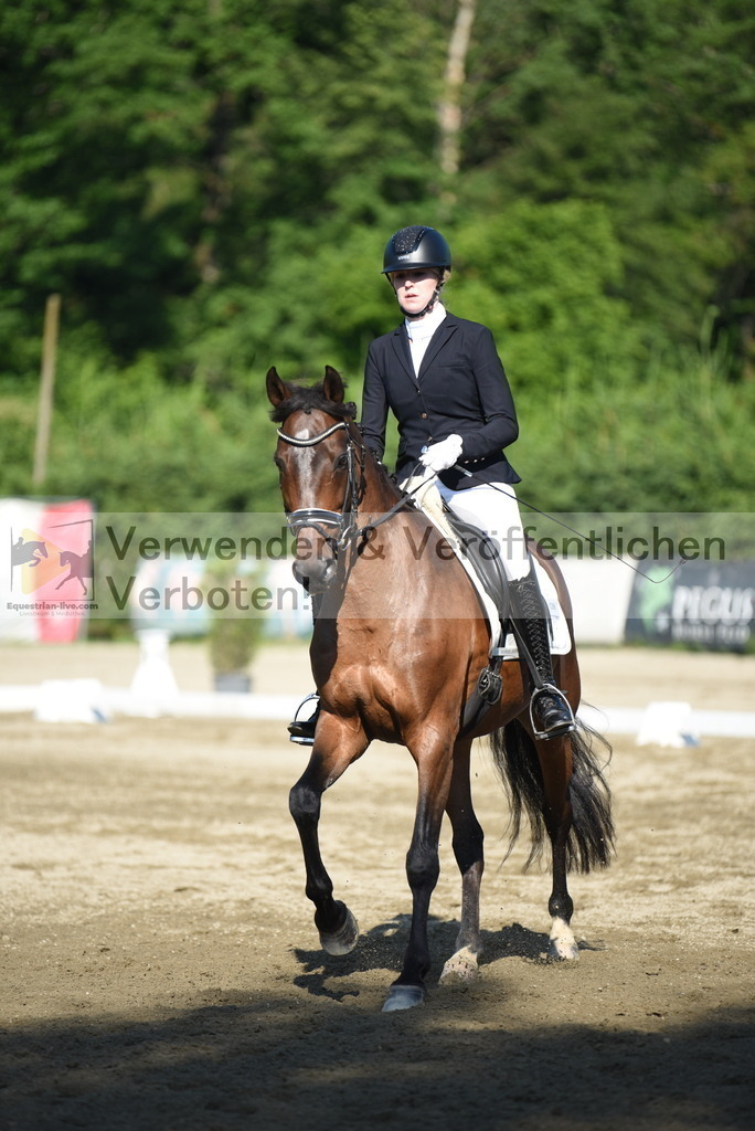 DSC_7164 | equestrian-live-com