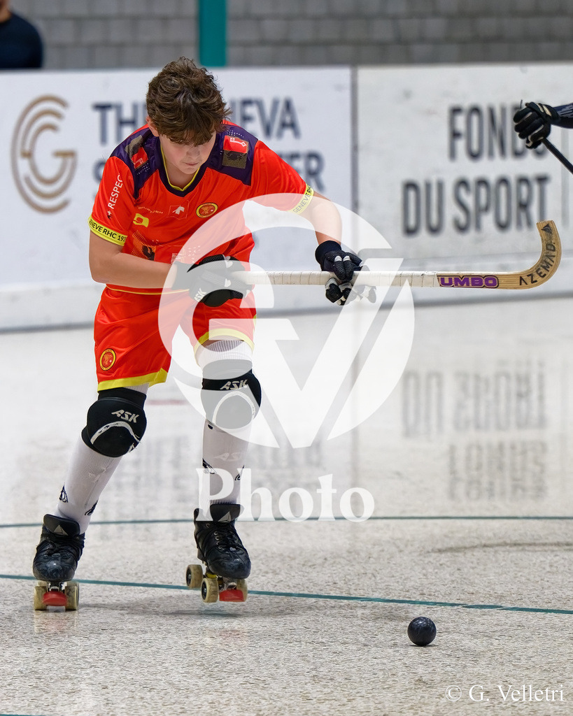 DZ8_3814 | Velletri Photo