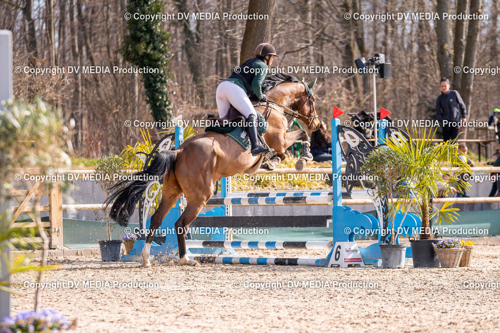 Kranichstein Tag 1-384 | dv-media-shop - Realisiert mit Pictrs.com