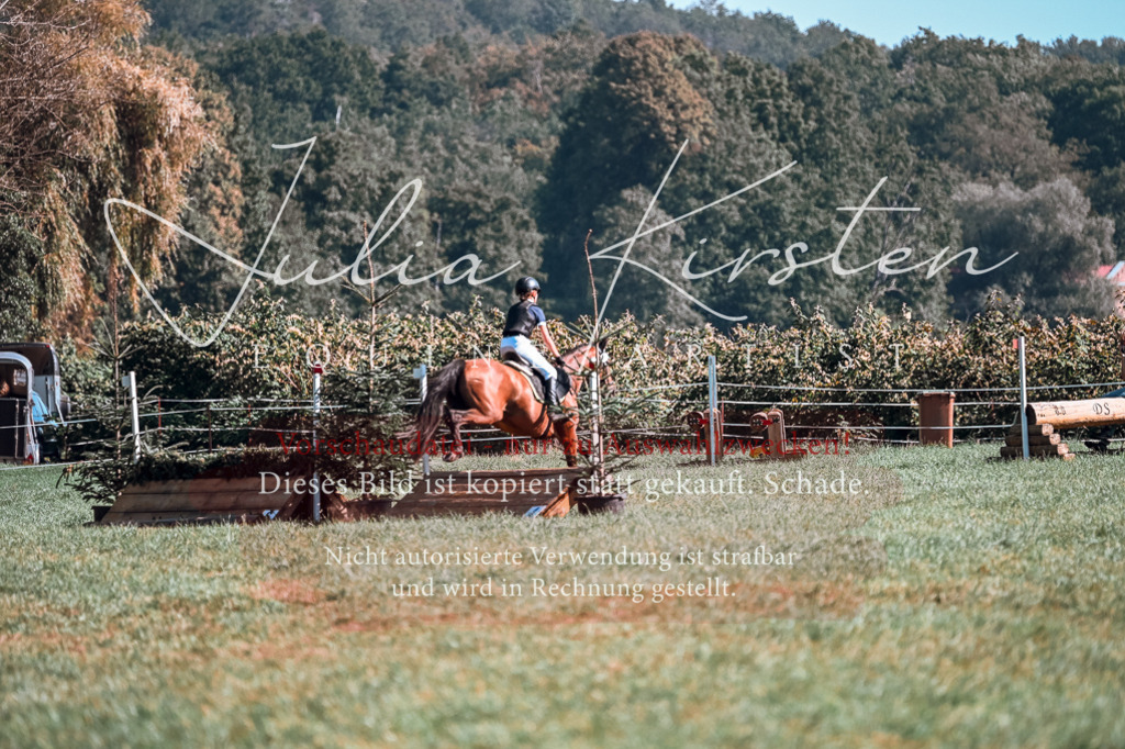 DSC_0968 | Pferde- und Turnierfotografie in Westsachsen. Pferdeportraits, Auftragszeichnungen und intuitive Kunst.