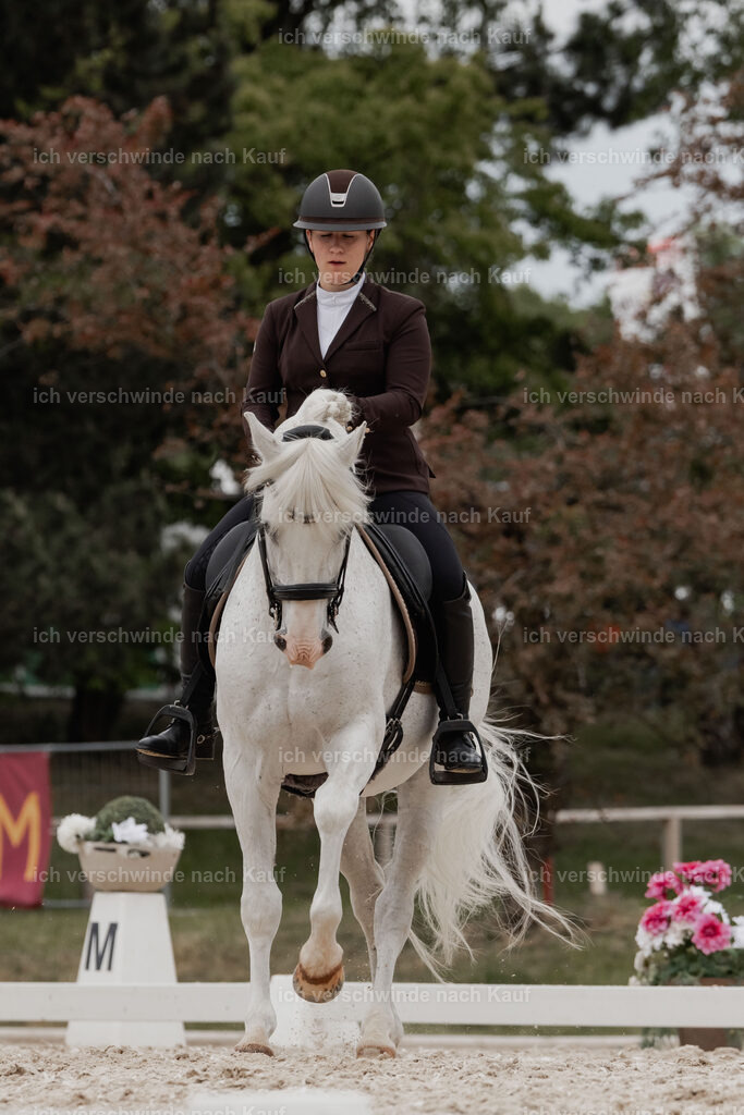 WE_DR_Stoib_318_PI2025_493 | Pferd International München 2025