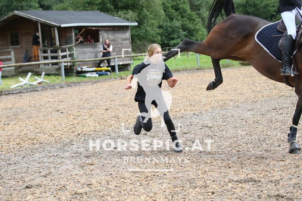 DL2Q3550 | Willkommen bei Brunnmayr - Design & Fotografie – Ihrem Spezialisten für Reitturniere und Pferdeveranstaltungen in Oberösterreich, Salzburg und Bayern! Seit über 17 Jahren sind wir leidenschaftlich dabei.