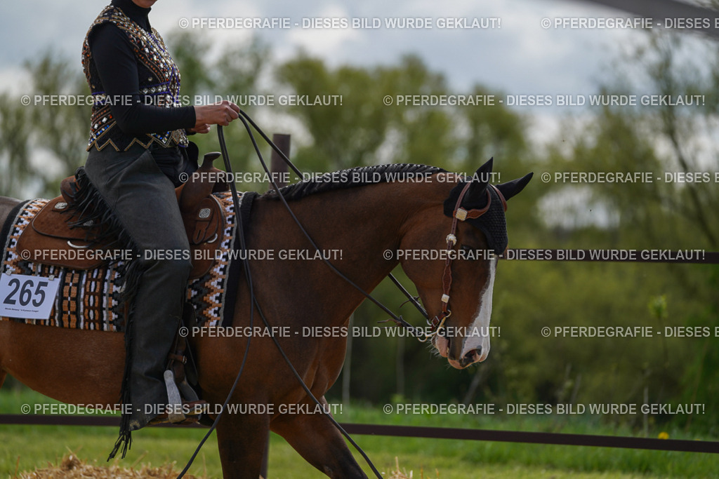 DSC03911 | Pferdegrafie