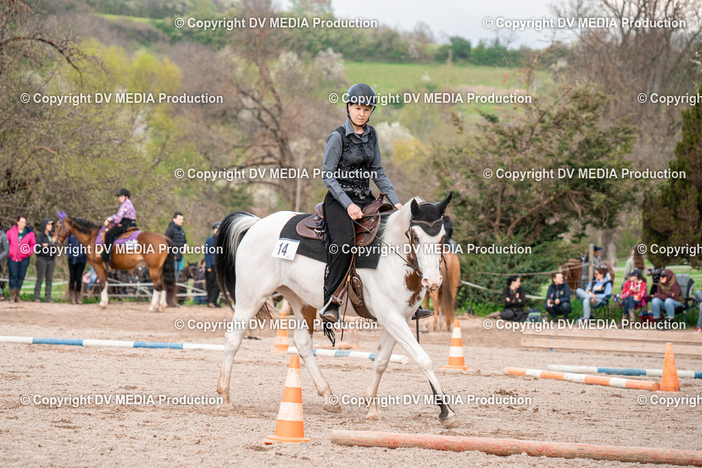 BAL02947 | dv-media-shop - Realisiert mit Pictrs.com