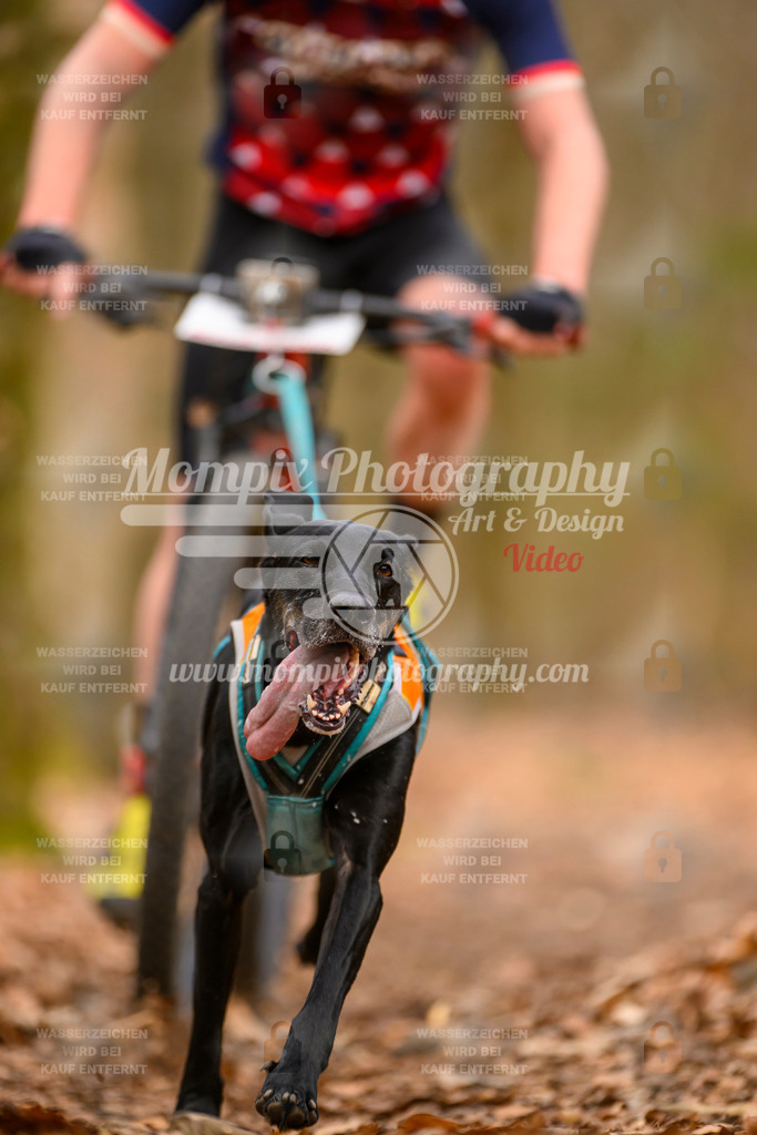 MompixPhotography_Habay2025_SA_Bike-75 | mompixphotography