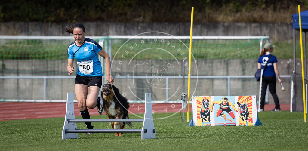Pfotenfotografie_DV3A0240 | Hundefotografie, Tierfotograf, Pfotenfotografie, Fotoshooting Hund, Hunde Portrait, Hundesport, Hundeportraits, Heideshooting, Hunde, Sportfotograf, Hundefotograf, Turnierhundsport, THS,  - Realisiert mit Pictrs.com