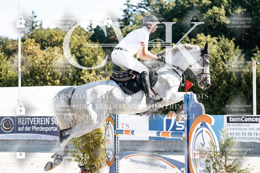 CK904424 | Turnierfotografie Pferdefotografie Trier Rheinland-Pfalz Pferdesport Reitsport Tierfotografie Sportfotografie Pferdevideo Pferdevideografie Equestrianvideography equestrianphotography  - Realisiert mit Pictrs.com