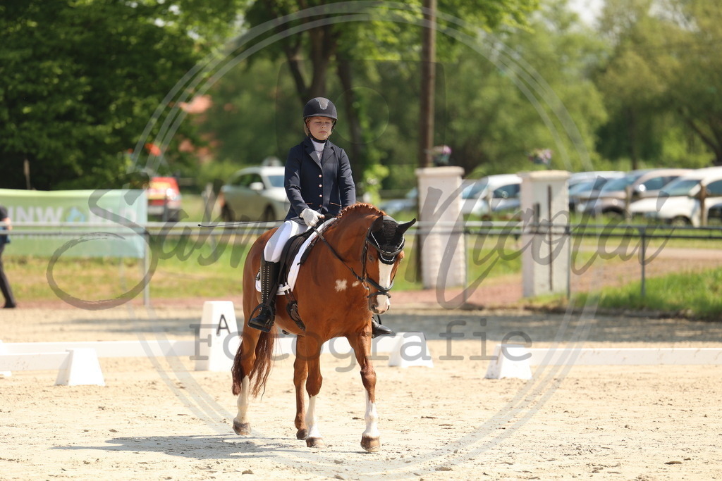 994A7285 | sabrinanicolaifotografie - Realisiert mit Pictrs.com