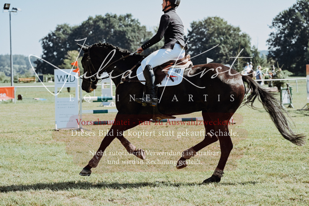 DSC_5736 | Pferde- und Turnierfotografie in Westsachsen. Pferdeportraits, Auftragszeichnungen und intuitive Kunst.