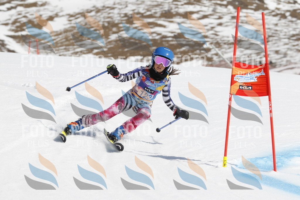 _U3G0756 | holidayphoto