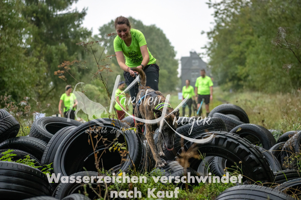 0842_ZZ90125-Bearbeitet | kk-dogfotos