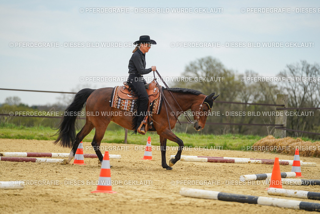 DSC02981 | Pferdegrafie