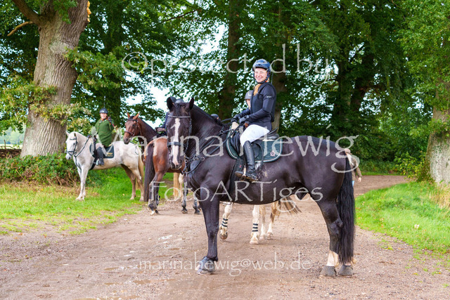 Jagd Perdoel 26 Sony-03979_MarinaHewig | Fotografie, FotoArt, PferdesportArt, Pferdesportfotografie, Landschaftsfotografie, Reisefotografie, Reise, Pferde - Realisiert mit Pictrs.com