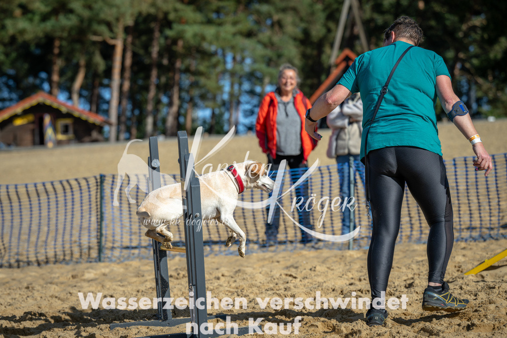 1117_ZZ90945 | kk-dogfotos