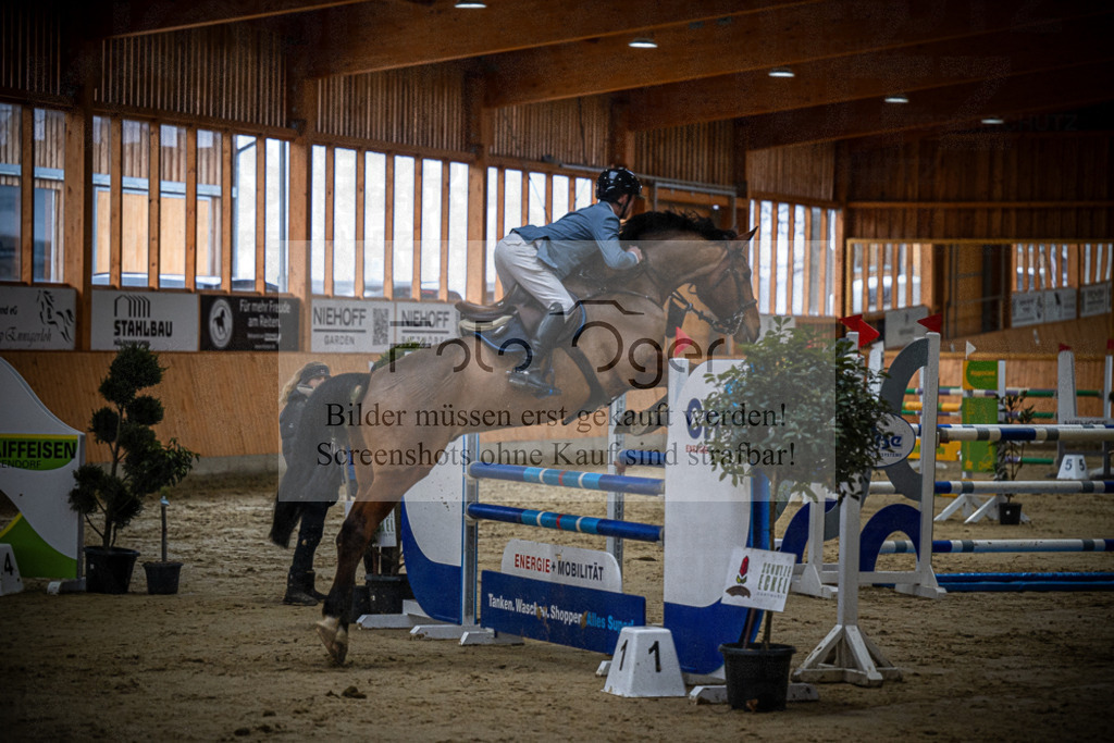 DOS_0578 | Entdecke hochwertige Reitturnierfotos von Foto Oger. Professionell, emotional und authentisch – jetzt Lieblingsmomente im Shop bestellen.Deutschlandweite Turnierfotografie. - Realisiert mit Pictrs.com