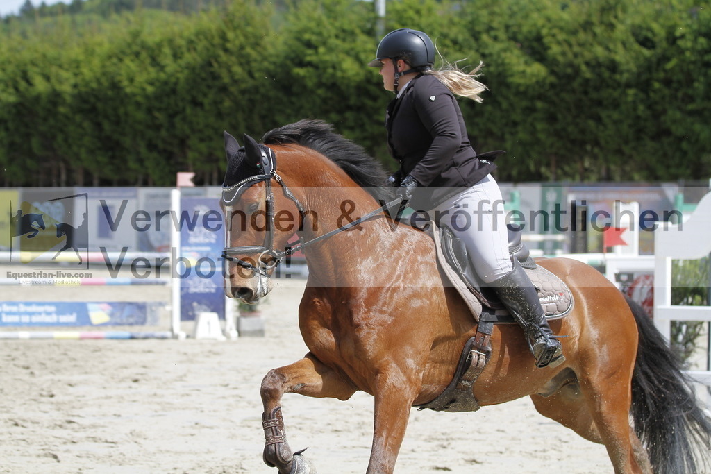 _MG_3382 | equestrian-live-com