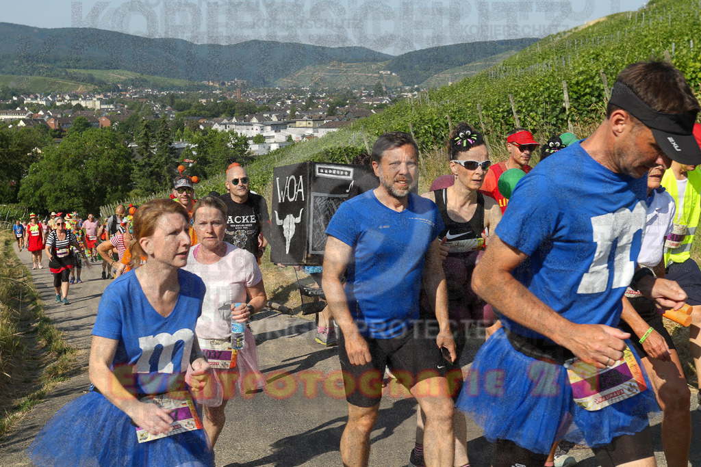 230617_0924_EV9_6459 | Sportfotografie im Rhein-Sieg Kreis, Köln, Bonn, NRW, Rheinland Pfalz, Hessen, etc. Unser Tätigkeitsfeld umfasst den Laufsport vom Volkslauf über den Marathon, Duathlon, Triathon bis zum Ultralauf wie Kölnpfad Ultra oder Schindertrail.