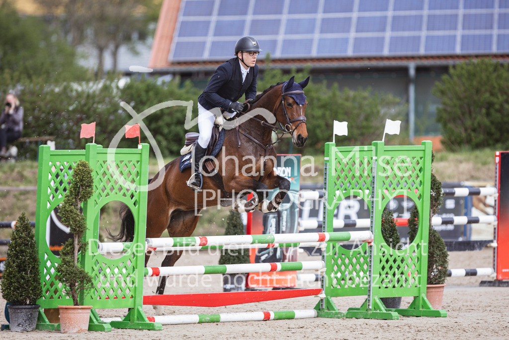 250419_Frühlingsfest_A-Stil1-498 | Deine schönsten Turniermomente als professionelle Fotos! Entdecke hochwertige Pferdesport-Fotografie im Online-Shop. Jetzt Fotos finden & bestellen!
