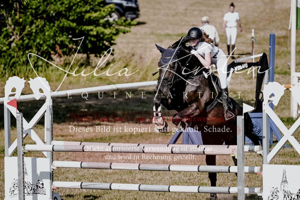 DSC_2505 | Pferde- und Turnierfotografie in Westsachsen. Pferdeportraits, Auftragszeichnungen und intuitive Kunst.