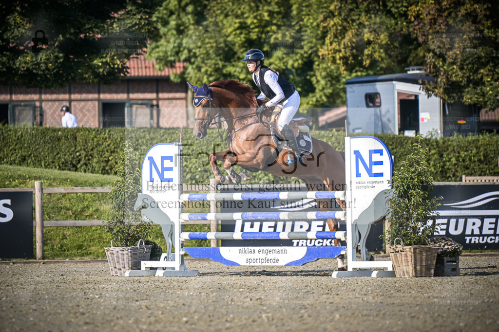 DOS_1769 | Entdecke hochwertige Reitturnierfotos von Foto Oger. Professionell, emotional und authentisch – jetzt Lieblingsmomente im Shop bestellen. - Realisiert mit Pictrs.com