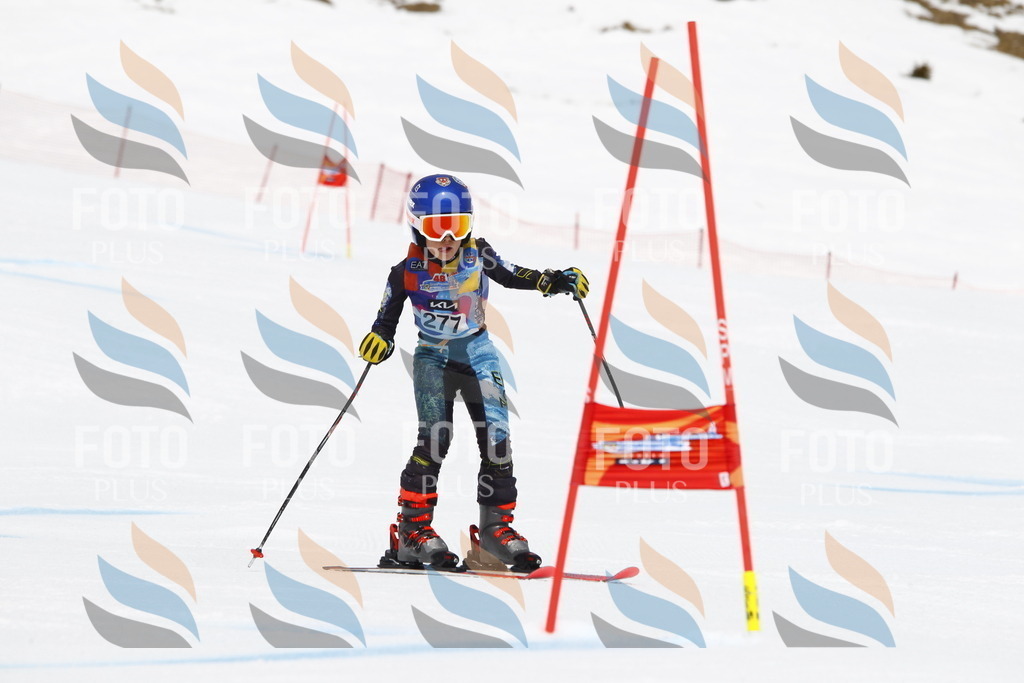 _U3G6942 | holidayphoto