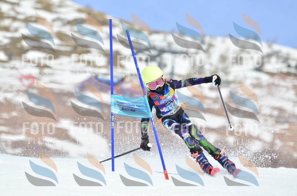 _ELE2422 | holidayphoto