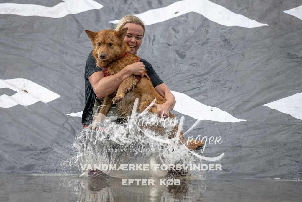 1147_ZZ93481 | kk-dogfotos