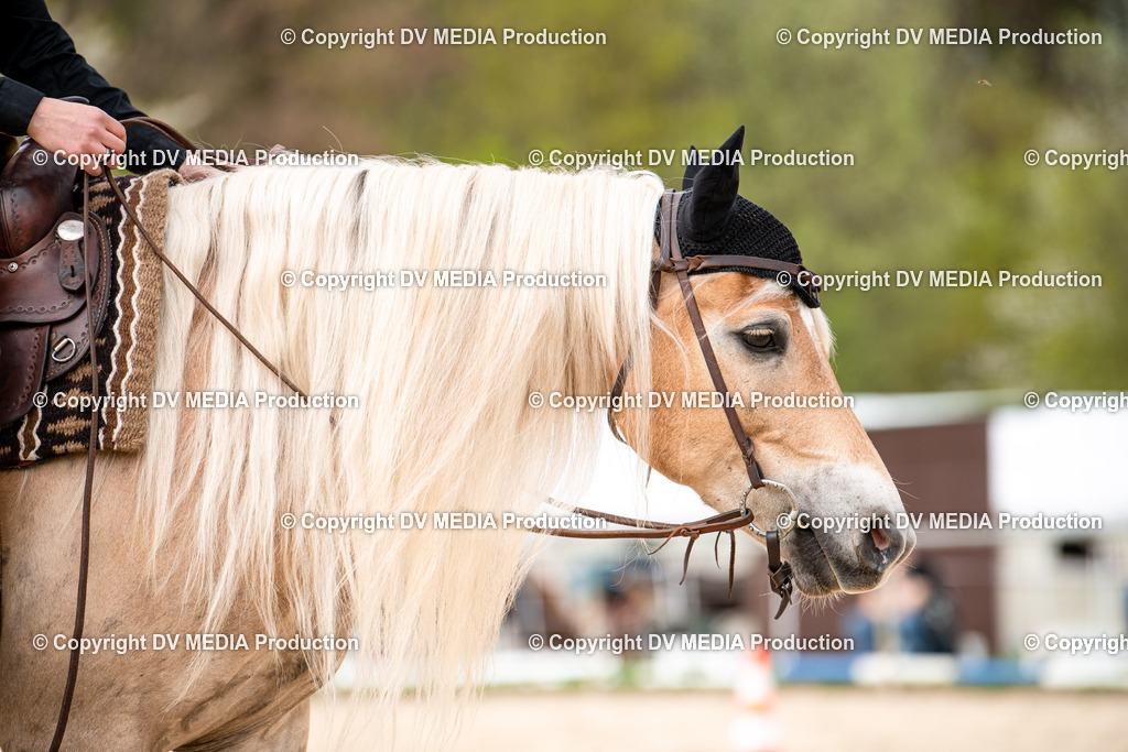 Heiligenwald Tag 1-768 | dv-media-shop - Realisiert mit Pictrs.com